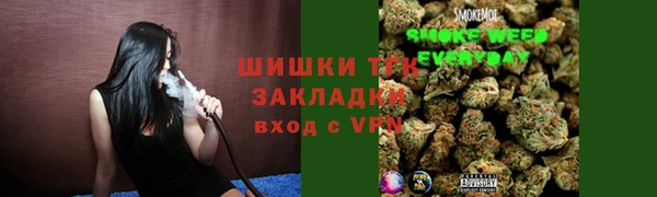 шишки Алзамай