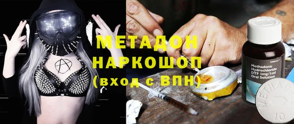 шишки Алзамай