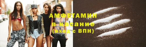 ПСИЛОЦИБИНОВЫЕ ГРИБЫ Арсеньев