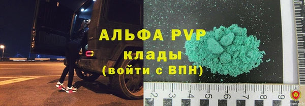 шишки Алзамай