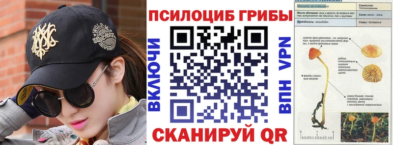Псилоцибиновые грибы прущие грибы Черкесск