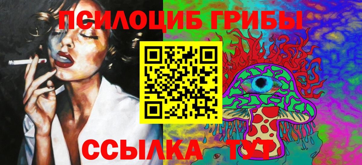 Галлюциногенные грибы Psilocybe  Галлюциногенные грибы мицелий  Вход с VPN  Черкесск 
